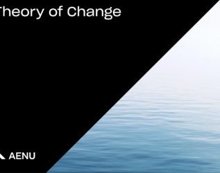 AENU Theory of Change Template